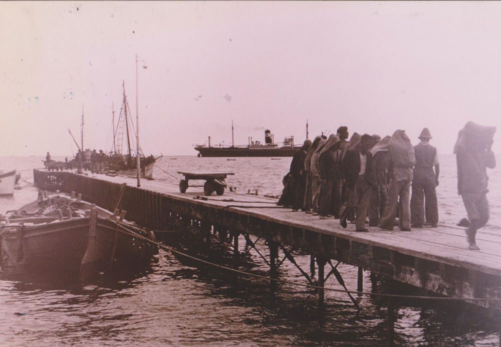 Photographs from the Limassol port, where workers (‘hamalides’) would carry the heavy loads om their backs.